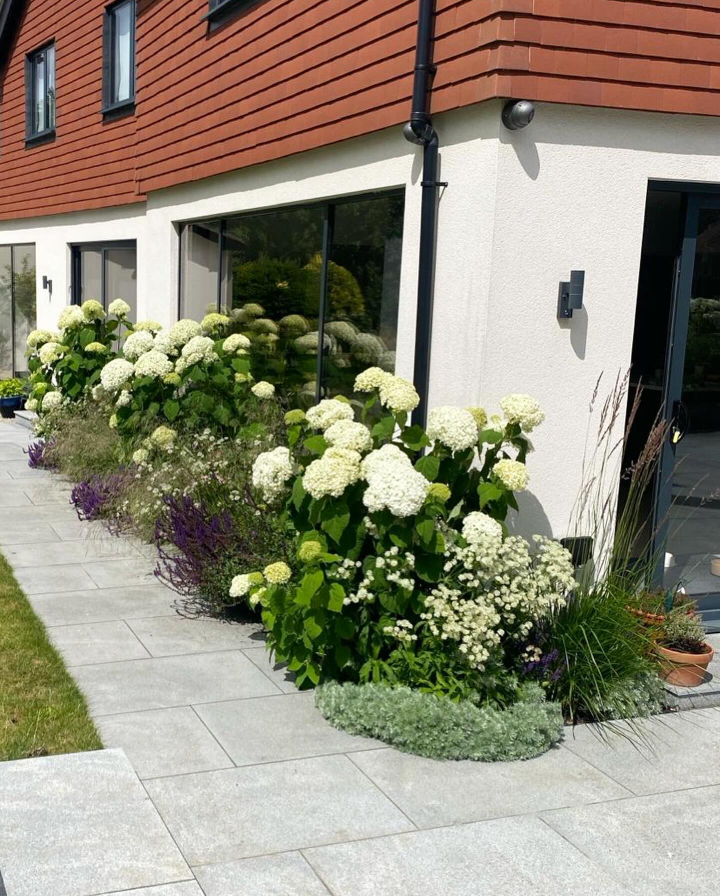 Garden Design - Hydrangea